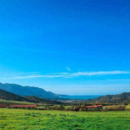 Agriturismo Il Ginepro Флуминимаджоре Экстерьер фото