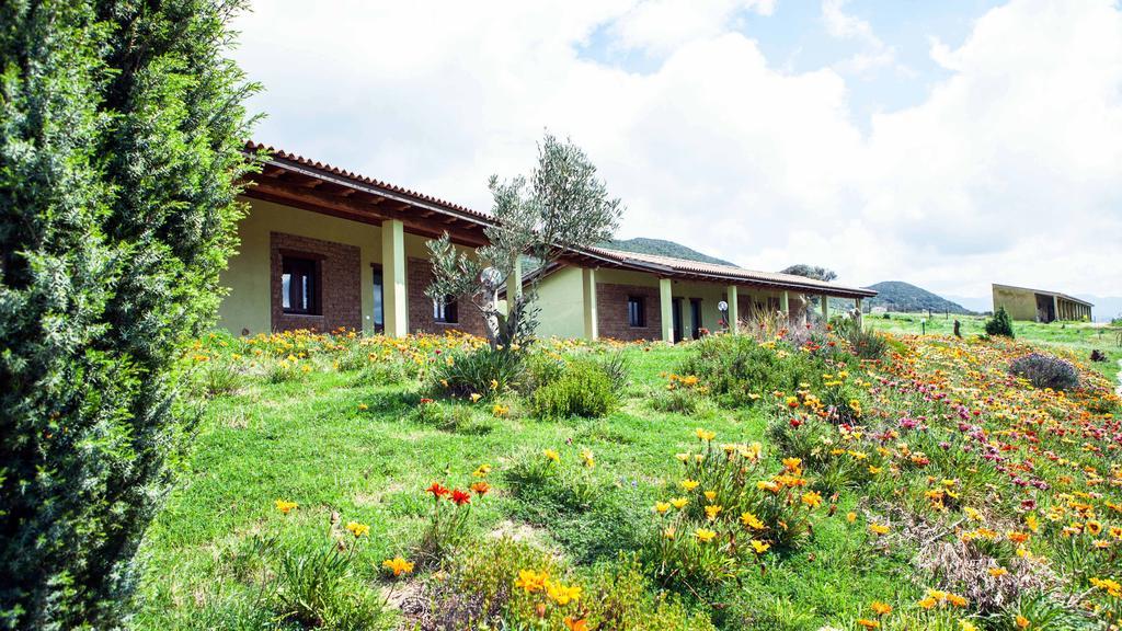 Agriturismo Il Ginepro Флуминимаджоре Номер фото
