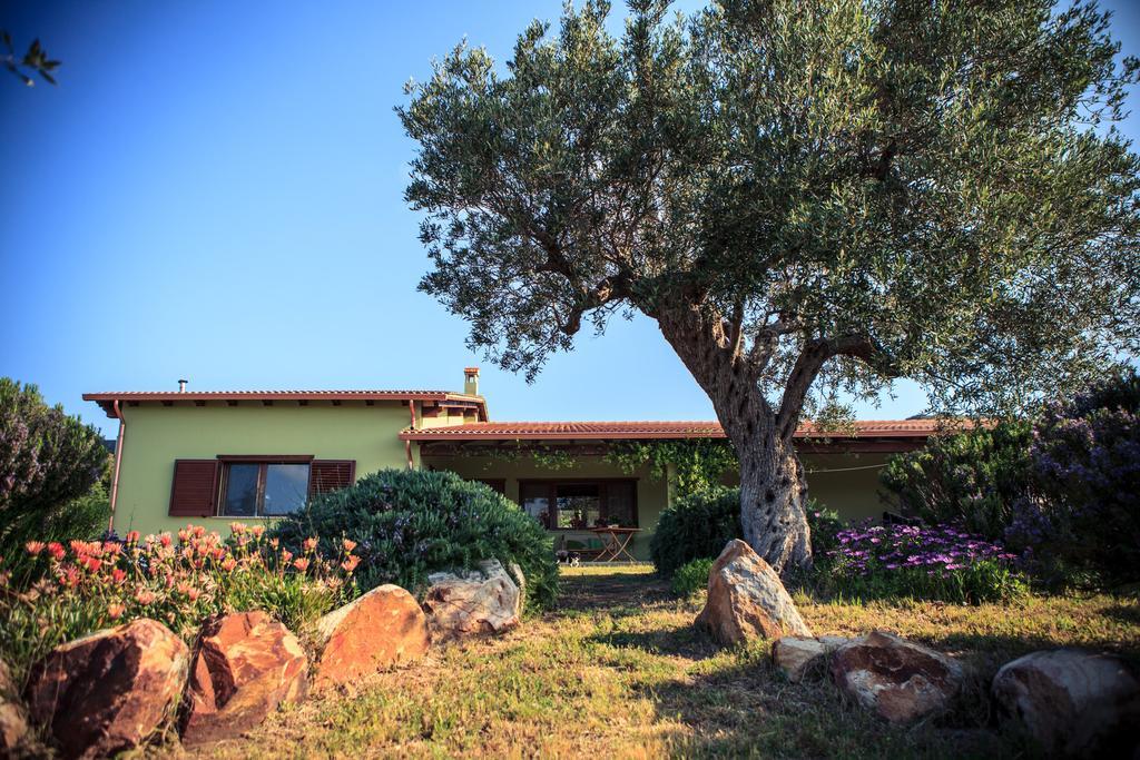 Agriturismo Il Ginepro Флуминимаджоре Экстерьер фото